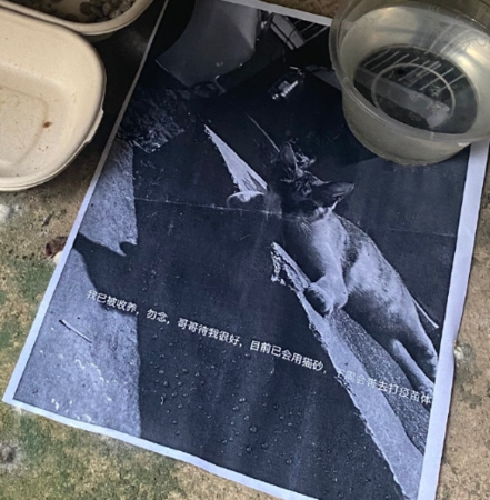 d7433472 ▲「樓下的大肥貓被擄走!」留下字條 他仔細看超感動:太溫暖了(圖/翻攝自微博/視覺志)