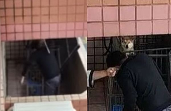 ▲楠梓區驚傳虐狗！黑衣男持棍「陽台猛抽打犬隻」　慘叫聲嚇壞住戶。（圖／翻攝自Instagram／kaohsiungtien）