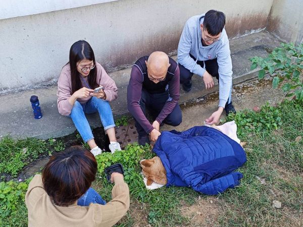 d7433614 ▲米克斯犬「小黃」在保四總隊14年,因不敵病魔走完一生。(圖/民眾提供)