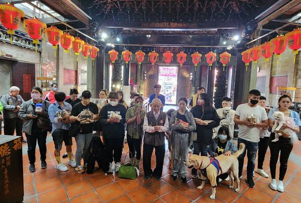 ▲▼全台最佛寺廟！幫寵物點平安燈「送主人光明燈」　有人抱烏龜祈福（圖／翻攝自Facebook／嘉義城隍廟）
