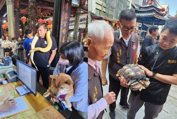 ▲全台最佛寺廟！幫寵物點平安燈「送主人光明燈」　有人抱烏龜祈福（圖／翻攝自Facebook／嘉義城隍廟）