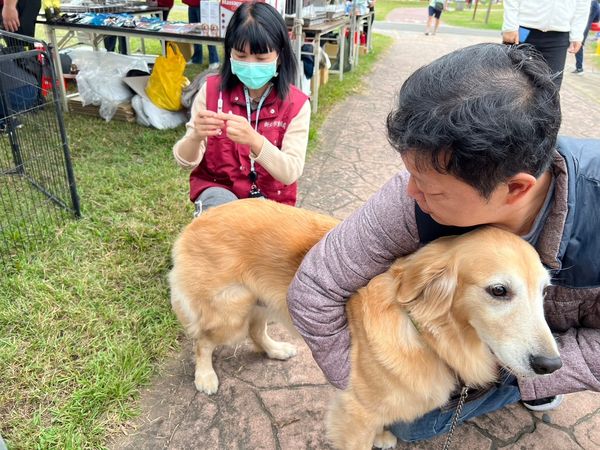 d7435759 ▲揪團20隻犬貓「新北到府施打疫苗」 2024絕美「寶石藍頸牌」登場。(圖/新北市動保處提供)