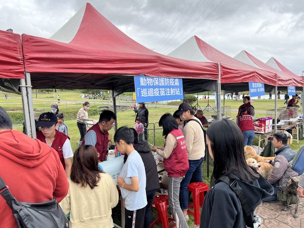 d7435761 ▲揪團20隻犬貓「新北到府施打疫苗」 2024絕美「寶石藍頸牌」登場。(圖/新北市動保處提供)