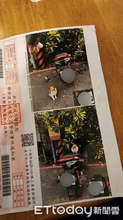 d7435929 ▲▼收到罰單超無奈! 他看車上冒出「超萌亮點」秒氣消:無所謂了 。(圖/網友柏鋒提供)
