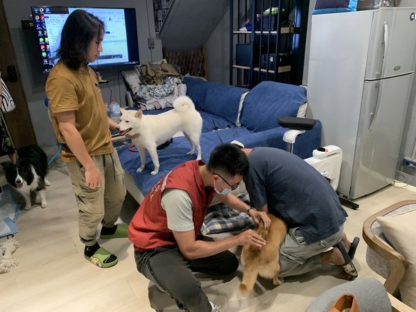▲▼台獸醫傳染病研究登國際舞台　防堵「人畜共通」病毒守護健康。（圖／新北市政府提供）