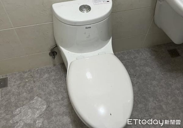 d7441588 ▲貓母女失蹤 阿公翻廁所見「馬桶無辜身影」嚇到:原來可以擠2隻。(圖/飼主沈白白提供)