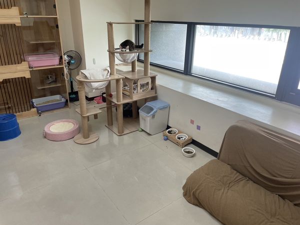 ▲認養寵物新北動保處教您幾招辨識非法買賣。（圖／新北市動保處提供）