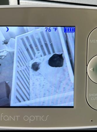 ▲▼嬰兒床長出「一團黑影」緊貼孩子　媽開監視器融化：夢想成真了。（圖／翻攝自抖音@Lisa.g.miller517）
