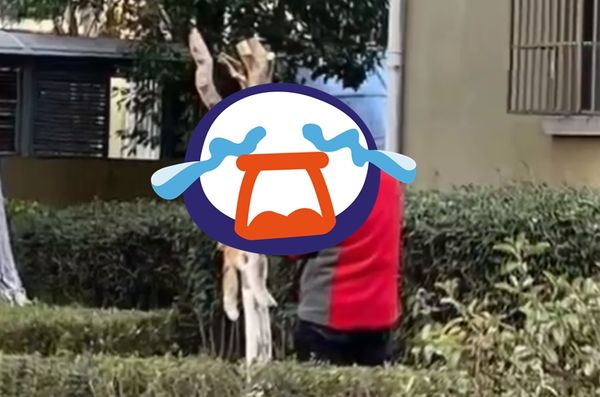 ▲上海小區「流浪貓遭剝皮虐殺」畫面瘋傳　工作人員駁斥：不實傳言。（圖／翻攝自微博）