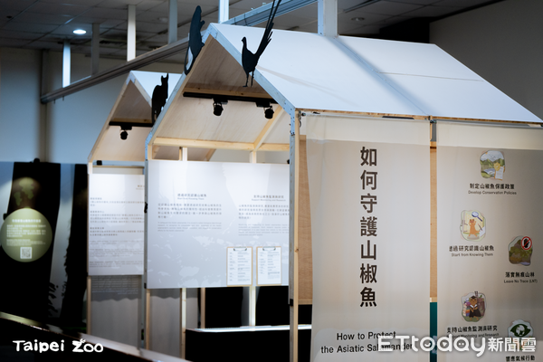 d7444512 ▲動物園辦《探索山椒魚》開幕特展 研究學者現身分享研究心血(圖/台北市立動物園提供)