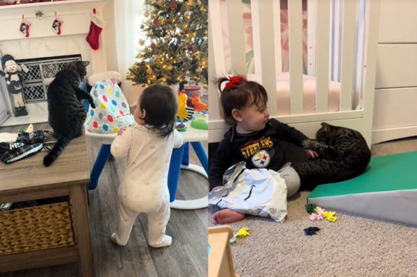d7444547 ▲貓咪與寶寶。(圖/翻攝自Tiktok@lisa.g.miller517)