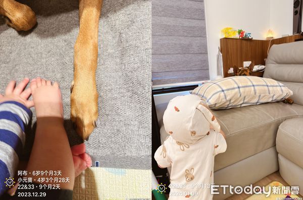 d7444732 ▲▼朋友小孩來寄宿!狗保母被包圍「1打4」 坐角落眼神失去靈魂。(圖/網友房曉仁授權提供)