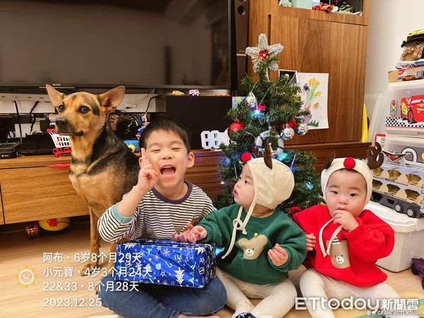 d7444735 ▲▼朋友小孩來寄宿!狗保母被包圍「1打4」 坐角落眼神失去靈魂。(圖/網友房曉仁授權提供)