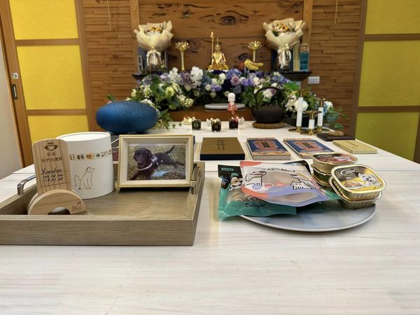 ▲來不及過11歲生日...屏東搜救犬「Xander」離世　特搜隊列隊告別。（圖／翻攝自Facebook／屏東縣政府消防局特種搜救大隊）