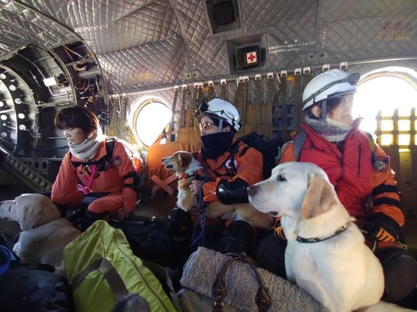 d7448404 「認定NPO法人災害救助犬静岡」派出6人、4犬從靜岡進入能登地區,並在現場與靜岡縣警一起行動。(翻攝自X@drdshizuoka)