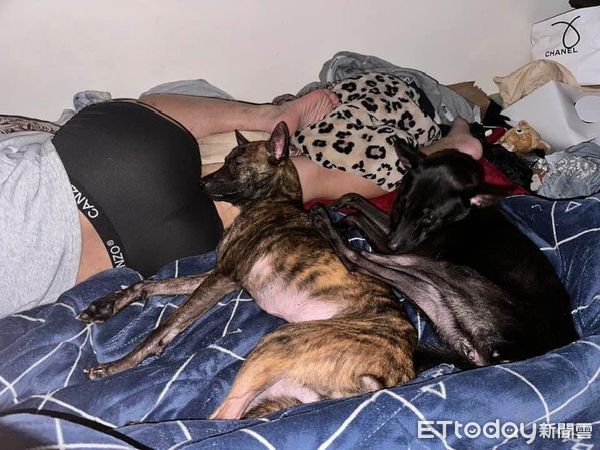 ▲▼「鋼牙姊妹」聯手拆門被發現　2寶秒變無辜臉低頭認錯：媽別生氣。（圖／網友李小雪提供，請勿隨意翻拍，以免侵權。）