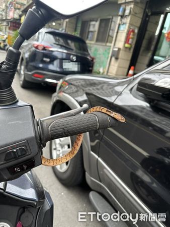 ▲騎車手突然涼涼的　低頭驚見「把手長出蛇」嚇壞他：幸好速度不快。（圖／原PO授權提供）