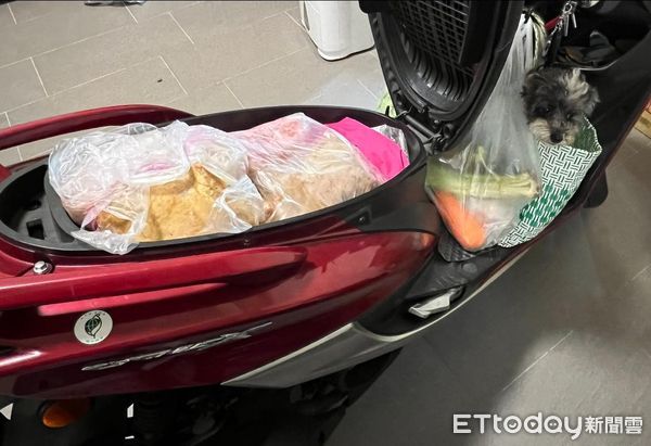 ▲毛小孩愛跟路！陪媽逛菜市場「坐穩購物袋」眼神盯：幫我買雞腿～（圖／網友Yaan Tsai提供，請勿隨意翻拍，以免侵權。）