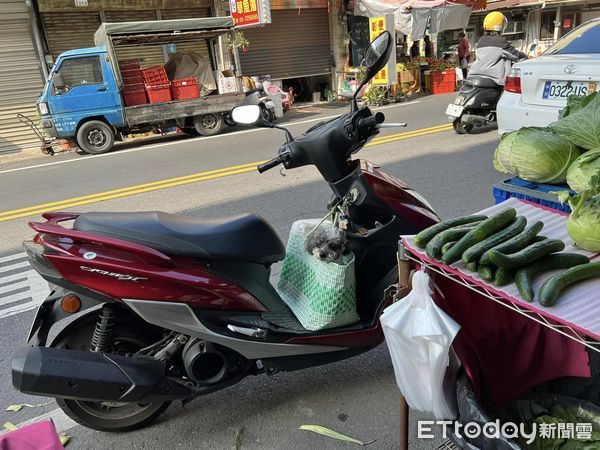 ▲毛小孩愛跟路！陪媽逛菜市場「坐穩購物袋」眼神盯：幫我買雞腿～（圖／網友Yaan Tsai提供，請勿隨意翻拍，以免侵權。）