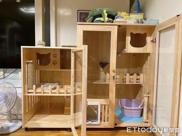 ▲養到不驚喜包！短腿橘貓養2年了「臉都長一樣」　同款低底盤萌翻。（圖／飼主張小姐提供）