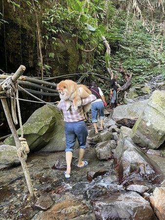 ▲奴才扛「20KG↑瓦斯桶」爬山苦嘆：會搞死自己　路人反應笑噴千人。（圖／有點毛毛的／飼主Emily Lin提供）