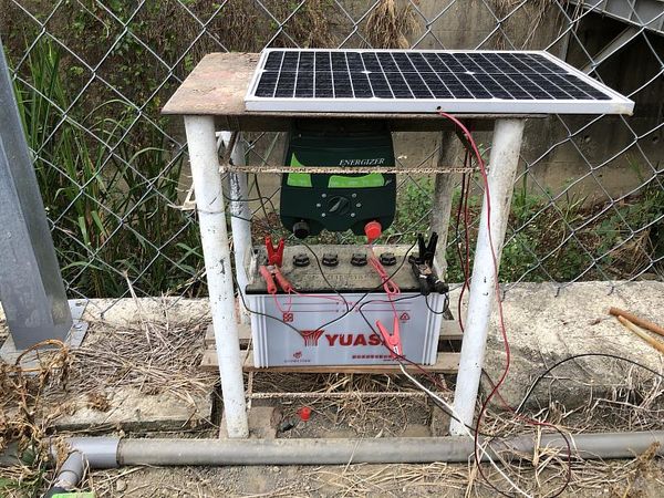 d7457024 ▲▼私設電網防動物意外電死人 林業署:合格電圍網補助3/4。(圖/林業署提供)