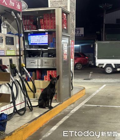 ▲▼加油站巧遇「黑色工讀生」立正探出頭　提供摸摸服務駕駛樂壞。（圖／網友授權提供）