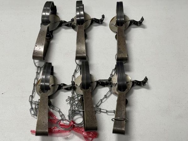d7461277 ▲▼禁用捕獸鋏「仍有動物斷肢受傷」 台南動保籲:違者最高罰200萬。(圖/台南動保處提供)