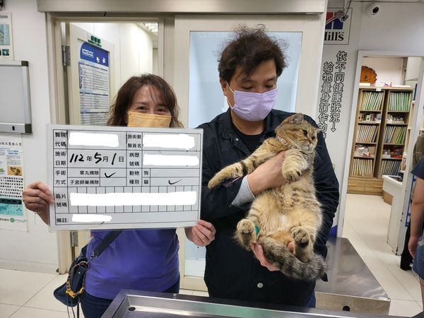 d7461993 ▲▼毛爸毛媽看過來!113新北毛小孩絕育補助開跑「犬貓最高1,200元」。(圖/新北市動保處提供)