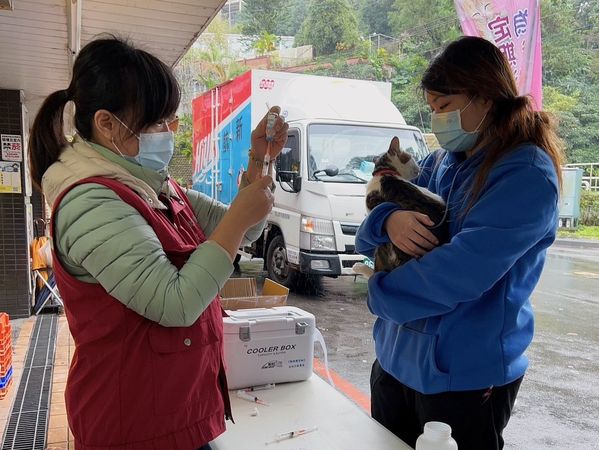 d7461995 ▲▼毛爸毛媽看過來!113新北毛小孩絕育補助開跑「犬貓最高1,200元」。(圖/新北市動保處提供)