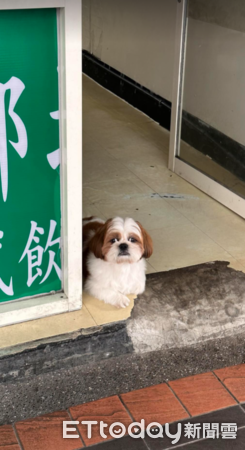 d7462064 ▲正港「檳榔西施」趴門口招攬客人 眼神朦朧美+中分:緊來喔~(圖/網友Wendy提供,請勿隨意翻拍,以免侵權。)