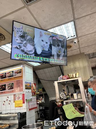 ▲▼怕排隊太無聊！便當店秀「自家萌喵照」療癒客人：看看我家的貓。（圖／網友陳保杰提供）