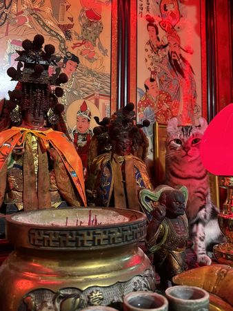 d7465403 ▲顯靈了?神桌多一尊「盜版虎爺」躲媽祖旁邊 他忍笑:罐罐先奉上。(圖/有點毛毛的/飼主林楷傑提供)