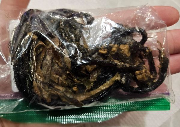 ▲貓突不停嘔吐...照X光「胃卡大坨腫塊」　醫急開刀取出：可能致命。（圖／翻攝自Reddit／PoisonWaffle3）