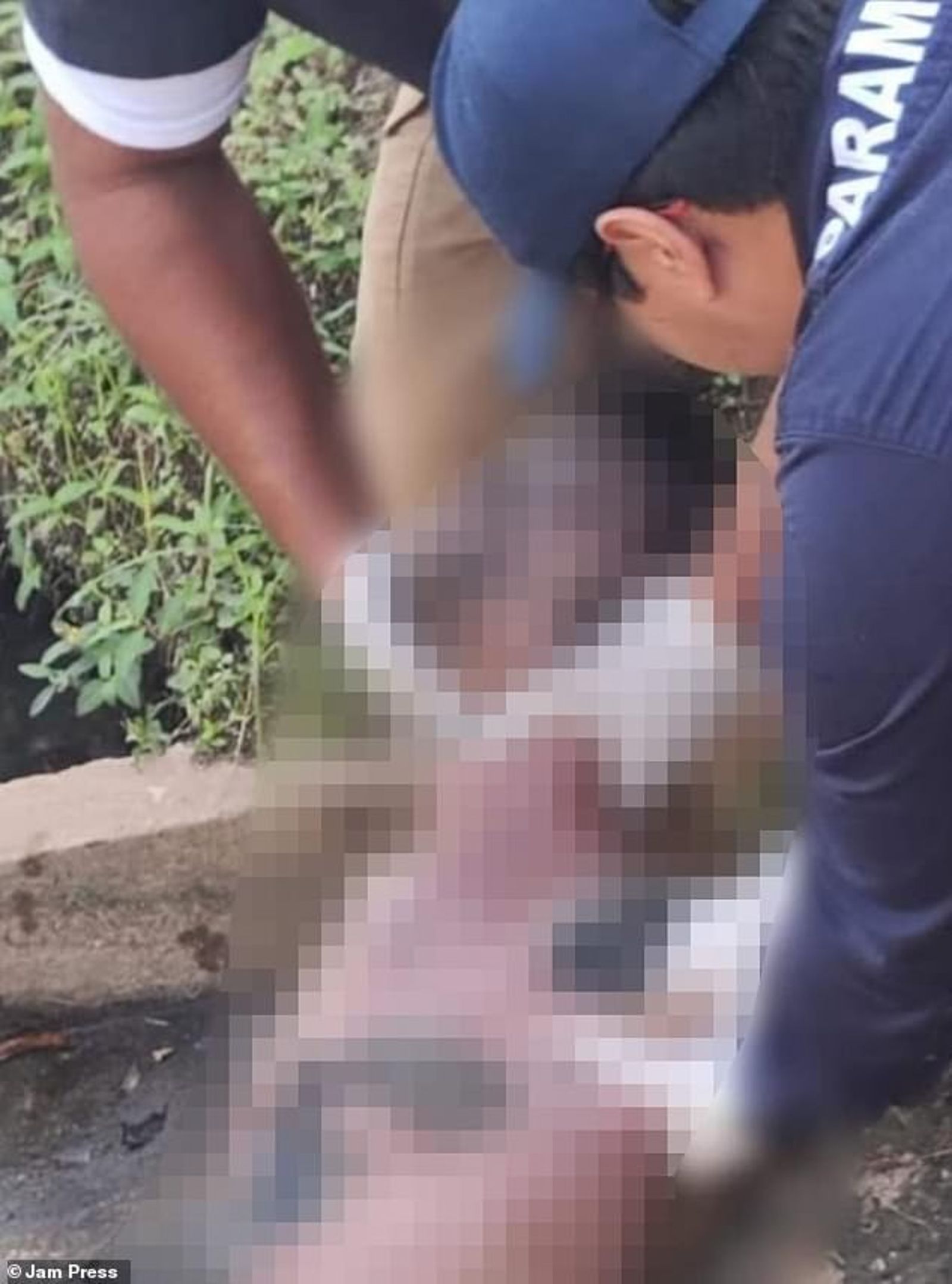 7973232 慎入!男跌入湖中被鱷魚群「廝殺狠咬」慘死 鄉民目擊卻無法救援