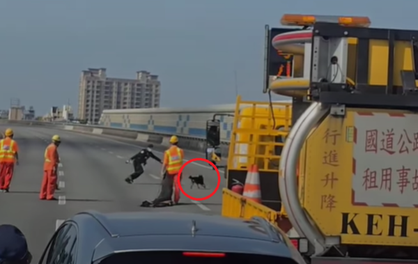 d7962968 ▲國道2號驚見「黑柴趴趴走」 開心跟警察叔叔玩你追我跑:抓不到(圖/翻攝自Facebook/爆料公社)