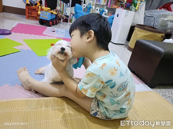 d7971491 ▲5歲弟害怕獨處!小老狗被派去「肉體陪伴」 眼神哀怨頭卡在柵欄。(圖/網友Han Gua提供,請勿隨意翻拍,以免侵權。)