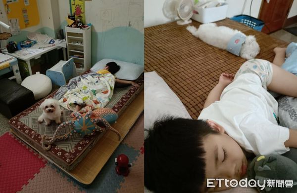 d7971493 ▲5歲弟害怕獨處!小老狗被派去「肉體陪伴」 眼神哀怨頭卡在柵欄。(圖/網友Han Gua提供,請勿隨意翻拍,以免侵權。)