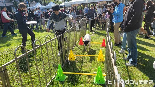 d7976927 新北毛寶貝耶誕趴登場「素還真與萌犬同台飆戲」 辦寵物卡享好康(圖/新北動保處提供)