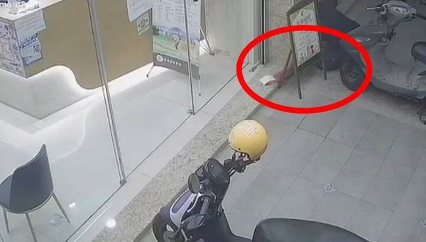 d7991145 ▲彰化動防所公告飼主盡快將小象龜領回。(圖/翻攝自彰化動物防疫所)