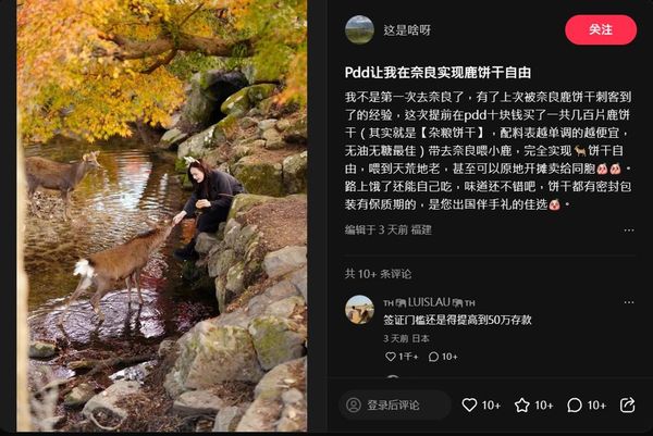 中國小姐姐嫌鹿仙貝太貴！買雜牌餅乾餵奈良鹿　發文炫耀被罵爆