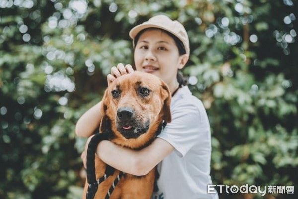 ▲收容所大狗難送！「辛巴」經訓練從暴衝變親人　逆轉犬生幸福笑了（圖／新北市動保處提供。）