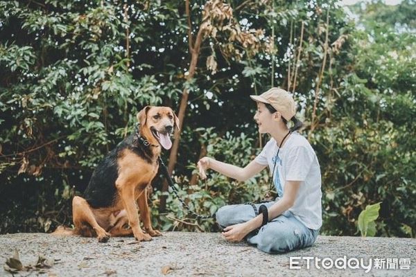 ▲收容所大狗難送！「辛巴」經訓練從暴衝變親人　逆轉犬生幸福笑了（圖／新北市動保處提供。）