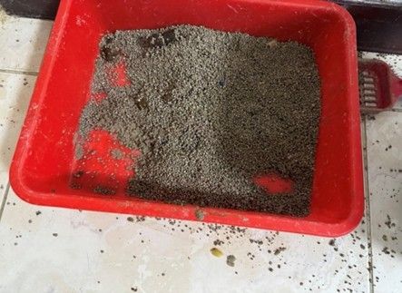8042041-1 ▲新北汐止驚現84犬貓擁擠飼養。(圖/新北市動保處提供)