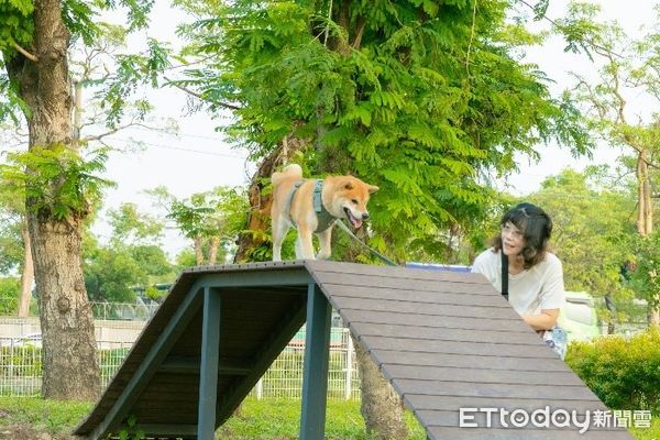 ▲▼春節連假毛小孩也瘋狂！高雄「7座寵物公園」一次看。（圖／記者賴文萱翻攝）