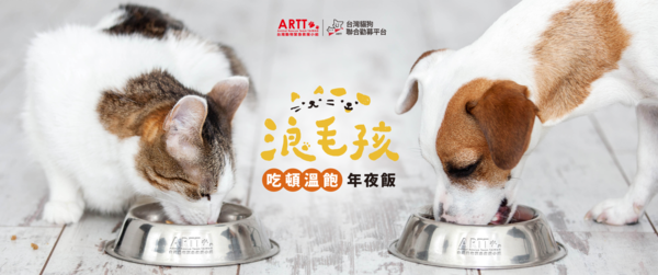 ▲用愛守護3萬浪浪！助毛孩溫飽年夜飯。（圖／台灣貓狗聯合勸募平台提供）