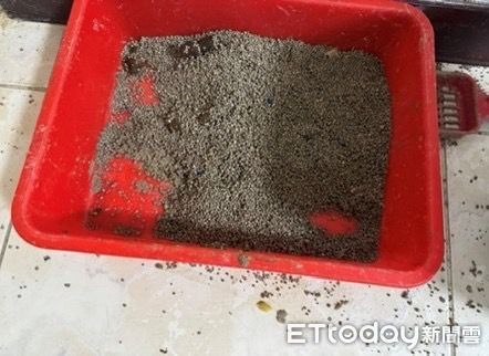 ▲汐止貓咪不當飼養。（圖／新北市動保處提供）