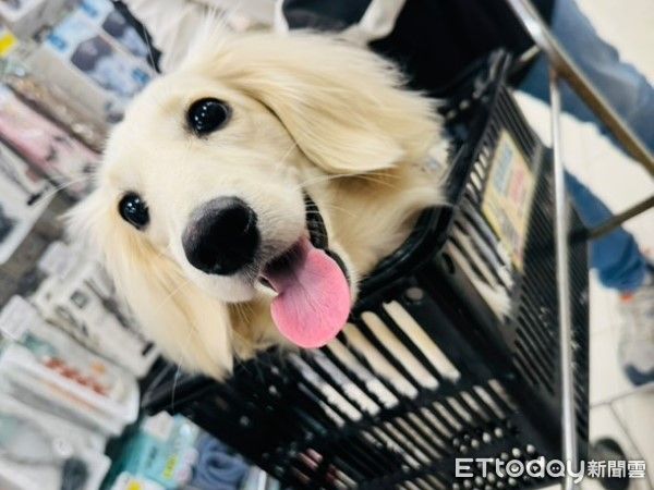 d8042878-1 ▲(圖/網友@_debbie.90提供,請勿隨意翻拍,以免侵權。)