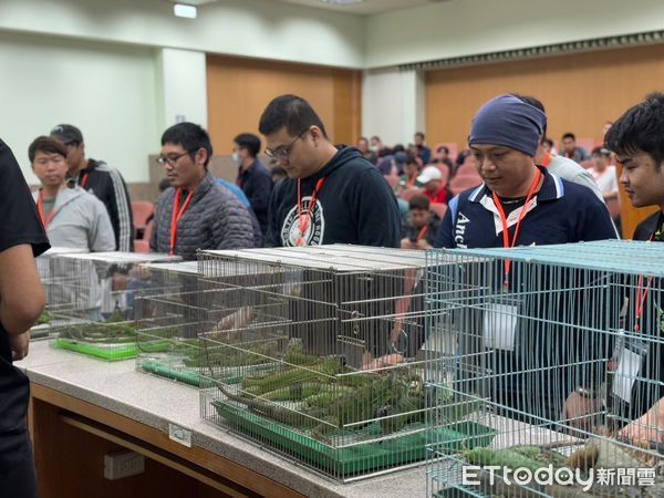 d8044183 ▲▼目標移除2萬4千隻綠鬣蜥!高雄再開獵人訓練班 報名時間曝光。(圖/記者賴文萱翻攝)