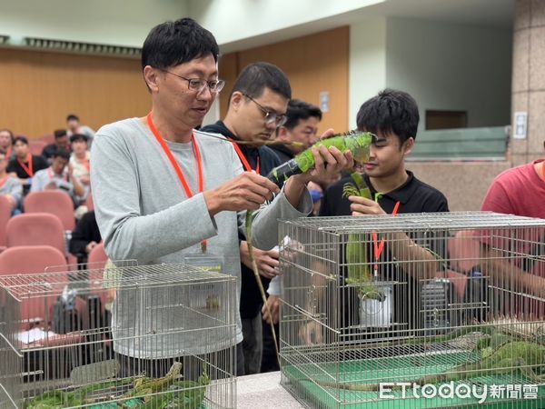 d8044184 ▲▼目標移除2萬4千隻綠鬣蜥!高雄再開獵人訓練班 報名時間曝光。(圖/記者賴文萱翻攝)